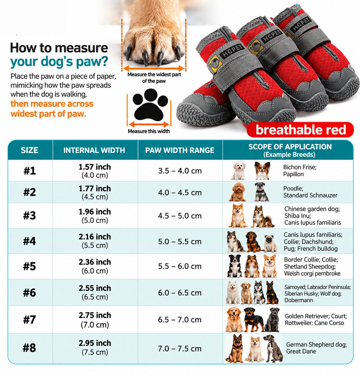 How to measure your dog's paw — size chart