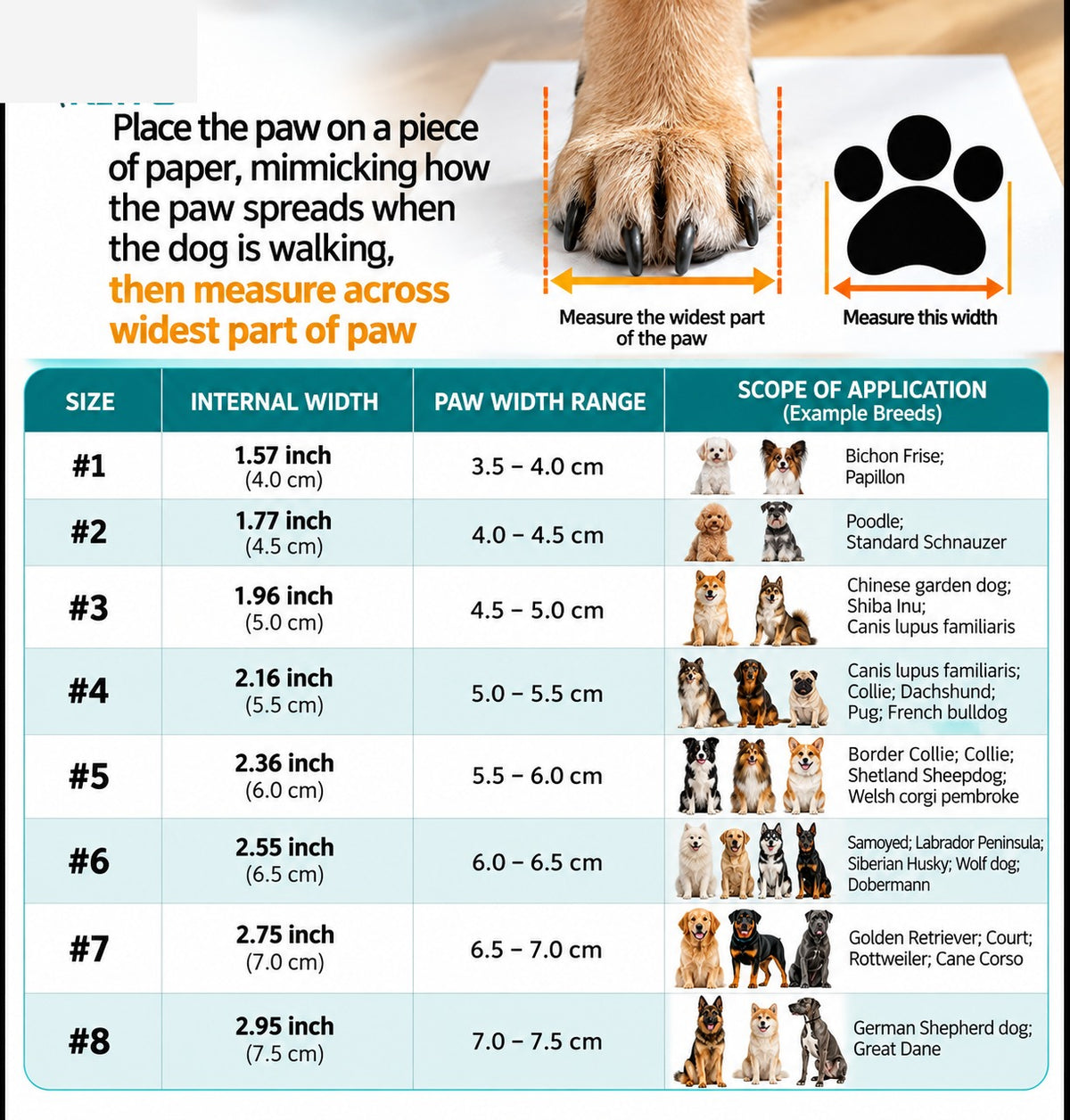 Dog boots size chart #1–#8