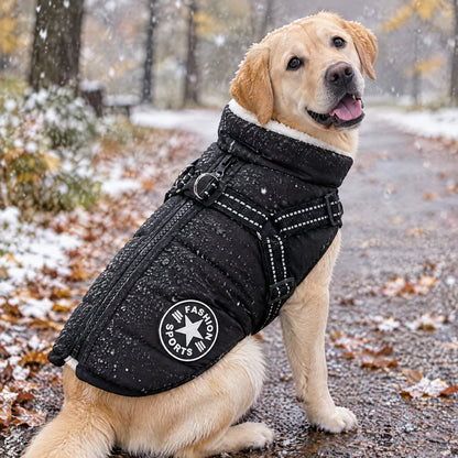 Labrador wearing the PawHug Winter Dog Jacket with built-in harness in light snow