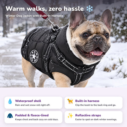 Winter Dog Jacket features: waterproof shell, built-in harness, padded fleece lining, reflective straps